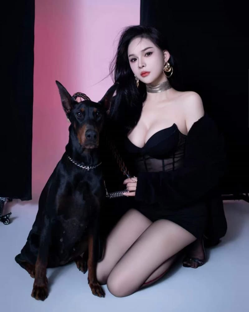清桐s